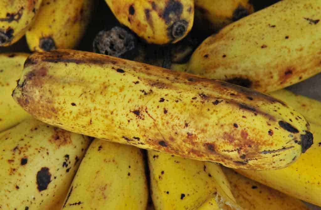 banaan fruitvliegjes