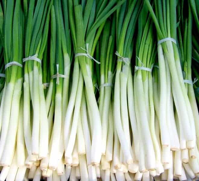 recept met lente-ui
