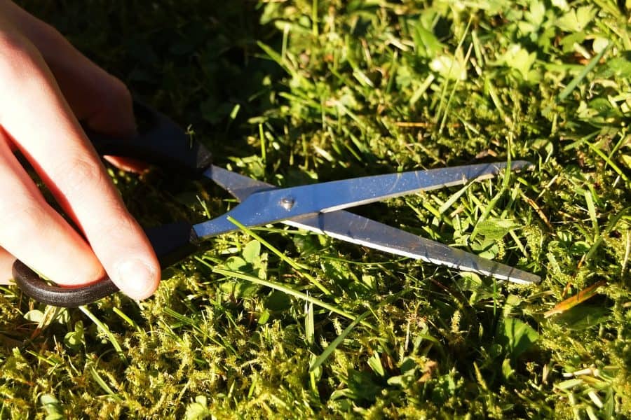 gras knippen echt gras of kunstgras