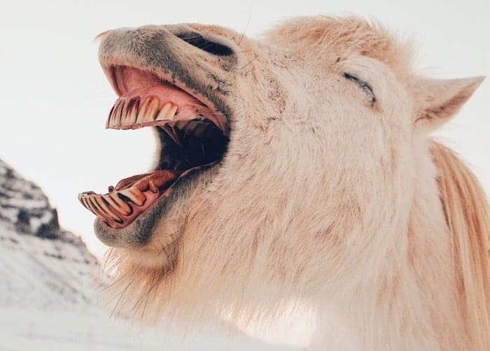lachen is gezond