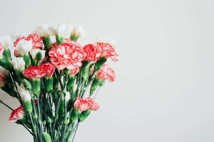 Flowers sorry