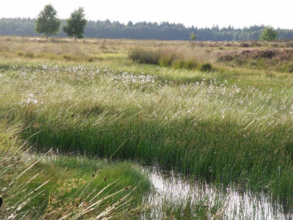 Wandeltips in Nederland Drenthe