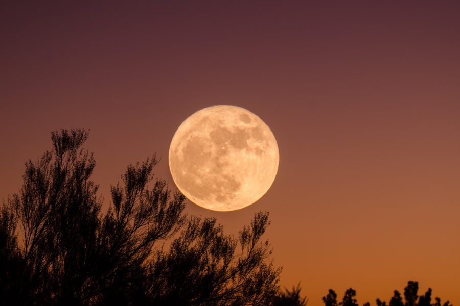 volle maan
