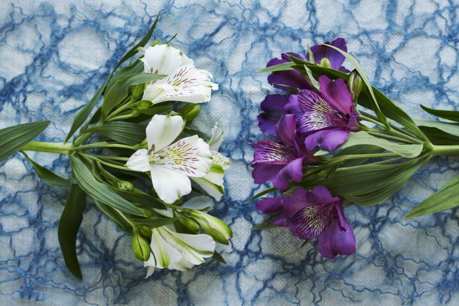 zeg het met bloemen alstroemeria