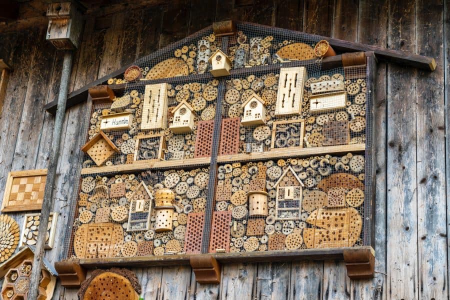 insectenhotel tuin