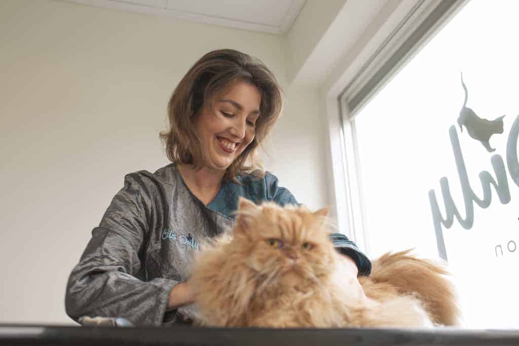 klitvrije kat personal Brand Fotografie (kim Marievoet)