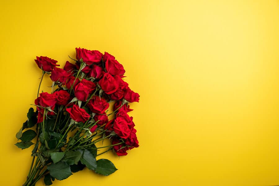 rozen 1