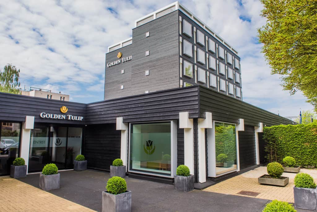 golden tulip